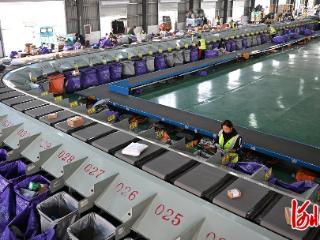 记者走基层｜“一品一播”，大名县干出“大名堂”