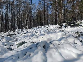 风雪阿拉齐山——山东省地矿局第七地质大队内蒙古根河铅锌矿潜力评价地质修测纪实