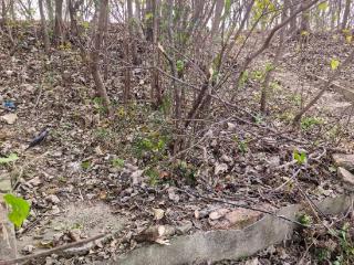 六安多单位联合清理“钓鱼垃圾”