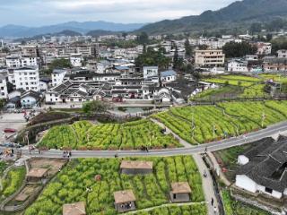 红色基因里的振兴路