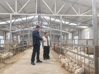 陕西陇县着力破解村级后备力量成长难题——“雏雁”一线蹲苗记