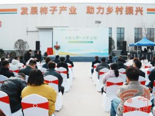 生鲜定制 品牌认证 富平发展柿子产业 助力乡村振兴