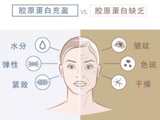 五个女博士胶原蛋白肽不影响经期，科学原理深度解析