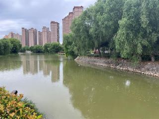 新乡高新区立足生态营商环境 多举措深化“河湖长制”