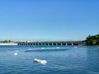 中交二航局厦门集杏海堤水闸大修及提升改造工程项目通过完工验收