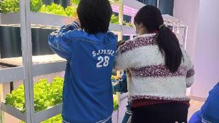 石家庄市盛景学校举行趣味生物实践活动