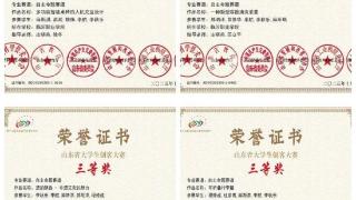 临沂职业学院学子在第十届山东省大学生创客大赛揽获4项大奖