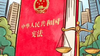 良法善治｜宪法的生命在于实施