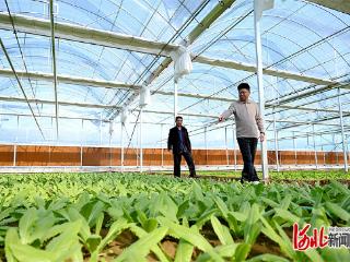 记者走基层｜北京技术赋能 “京南菜园”升级