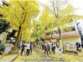 金辉映文明 邻里聚温情