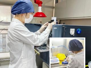 生命“哨兵”精准拦截！青岛市妇女儿童医院新筛中心“抢”出甲基丙二酸血症患儿救治黄金窗