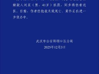 男子持刀伤人致死 武汉警方通报：41岁嫌犯已被抓获
