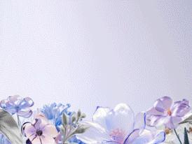 大城购疯狂 『1212元买1㎡』限时补贴，速抢！