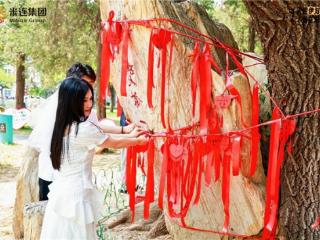 从知己到伴侣：米连科技伊对平台见证时间酝酿的爱情蜕变