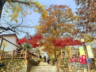 浙江乡村片区组团发展：念好共建共赢“致富经”