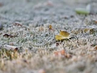 什么？杭州周末又要冲20℃了