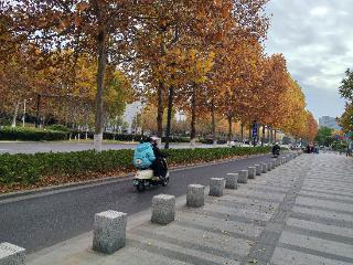 太干了！11月份安徽省降水量不及正常年份一半