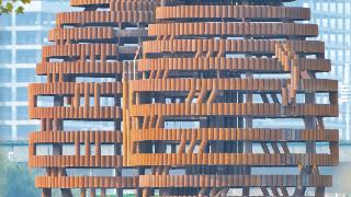 穿越7000年，赴一场星空下的约会！大河村遗址公园开园抢先看