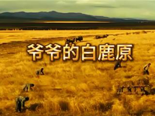 从现代诗歌《爷爷的白鹿原》看现代经典如何参与地域文化的重塑