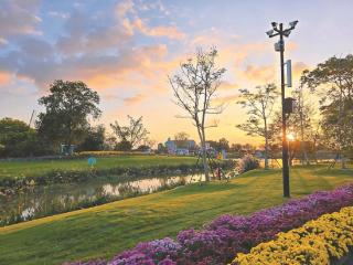 蹲点脱贫村丨全心村全“新”出发