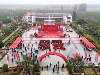 粮满仓 好丰光|鲁西沃野丰收图鉴