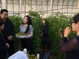 大羊镇：大棚结出丰收果 直播拓宽致富路