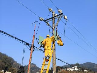 南方电网普安供电局完成高难度带电抢修保障居民企业用电