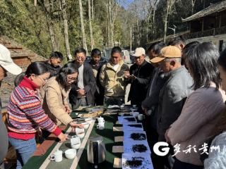 普安四球古茶小作坊茶叶品评技能培训暨贵州大学茶具捐赠仪式举行