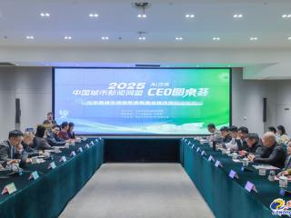 “圆桌荟”绘新篇 中国城市网盟数据集建设协作体落户江宁