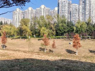 温暖周末里传来“寒潮消息” 下周安徽将迎来超10℃降温