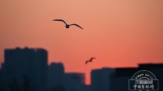 新发路观察｜吉林这波“网感正能量”有何深意？