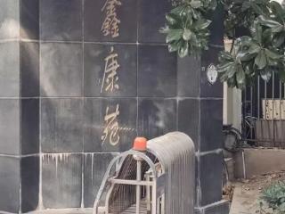 上海市中心高端楼盘开建，隔壁小区墙裂了地裂了！16米深基坑引发忧虑，相关各方回应