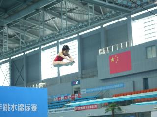 为明日冠军“筑梦” 河南省青少年跳水锦标赛开赛