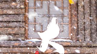 海报｜大雪节气：一雪知冬深 吉地盼君来