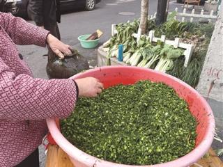 今日大雪，但杭州20℃ 趁着阳光好，酱肉腌菜晒起来