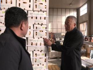 新闻调查丨从追标准到定标准 “中国蔬菜出口第一县”做对了什么？