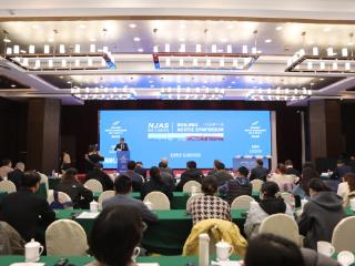 中外专家共探诊疗新路径 第十一届南京主动脉论坛召开