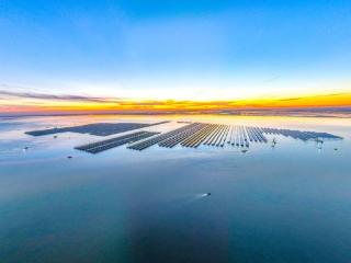 930套平台落位！全球在建的最大开放式海上光伏项目迎来关健节点