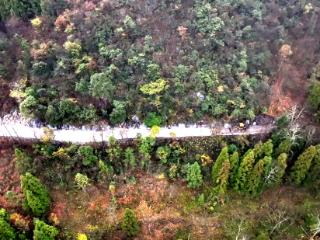 普定县猴场乡仙马村：凝聚民心力 铺就“安心路”