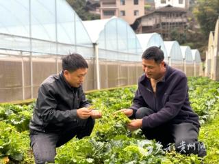 习水县程寨镇：路通产业兴 人和乡村美