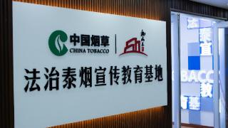 山东泰安：法治建设新标杆 普法惠民显担当