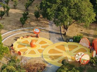 读城｜闽江两岸橘子红了，那是福州的冬日乡愁