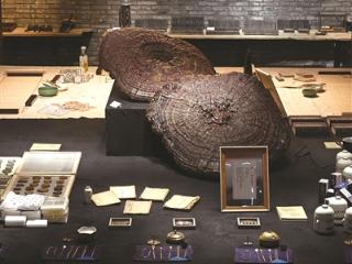 首届杭州民间中医药文化藏品展开幕