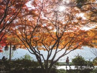 杭州本周天气有较大起伏 大回暖后大降温