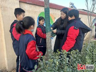 邢台长信小学开展“爱绿护绿，暖冬行动”