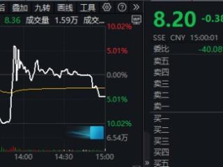 又易主！太龙药业复牌首日上演“天地板”！