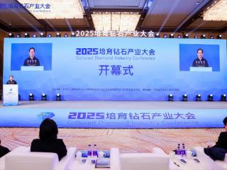 郑州职业技术学院成功主办2025培育钻石产业大会暨产教融合对接会
