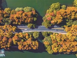 杭州气温开始过山车！今明回暖，周末大降温 到时高山区可能有雪