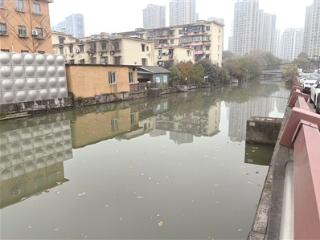 萧山区施家桥河道内有大量漂浮物 请及时清理