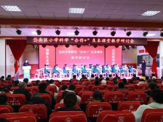 岱岳区小学科学“合作+”生本课堂研讨会在岳峰小学举行